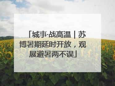 城事·战高温｜苏博暑期延时开放，观展避暑两不误