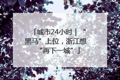 城市24小时｜“黑马”上位，浙江想“再下一城”