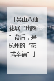 吴山八仙花展“出圈”背后，是杭州的“花式幸福”