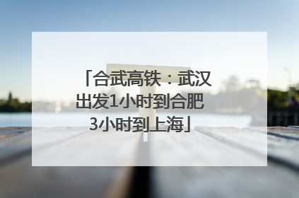 合武高铁：武汉出发1小时到合肥3小时到上海