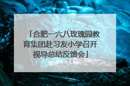合肥一六八玫瑰园教育集团赴习友小学召开视导总结反馈会
