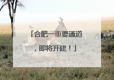 合肥一重要通道，即将开建！