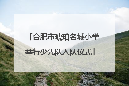 合肥市琥珀名城小学举行少先队入队仪式