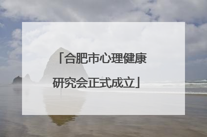 合肥市心理健康研究会正式成立