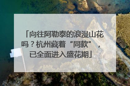 向往阿勒泰的浪漫山花吗？杭州藏着“同款”，已全面进入盛花期