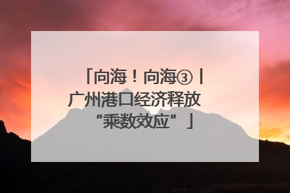 向海！向海③丨广州港口经济释放“乘数效应”