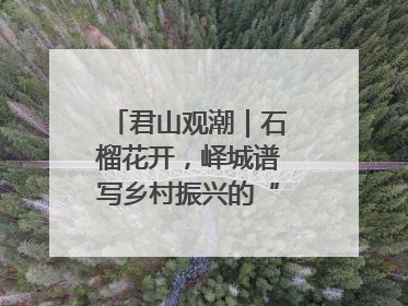 君山观潮｜石榴花开，峄城谱写乡村振兴的“新”篇章