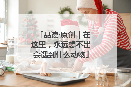品读·原创｜在这里，永远想不出会遇到什么动物