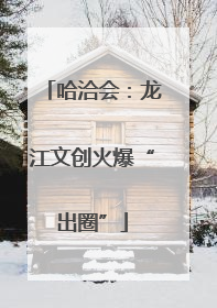 哈洽会：龙江文创火爆“出圈”