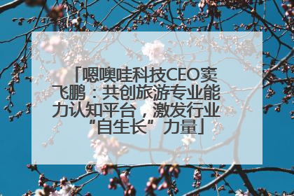 嗯噢哇科技CEO窦飞鹏：共创旅游专业能力认知平台，激发行业“自生长”力量