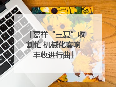 嘉祥“三夏”收割忙 机械化奏响丰收进行曲