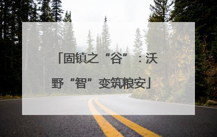 固镇之“谷”：沃野“智”变筑粮安