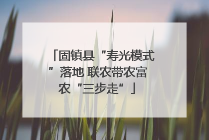 固镇县“寿光模式”落地 联农带农富农“三步走”