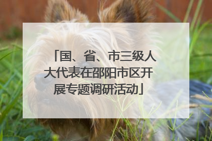 国、省、市三级人大代表在邵阳市区开展专题调研活动