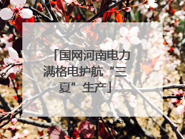 国网河南电力满格电护航“三夏”生产