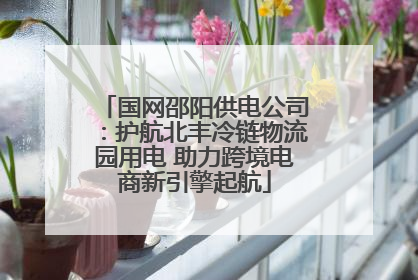 国网邵阳供电公司：护航北丰冷链物流园用电 助力跨境电商新引擎起航