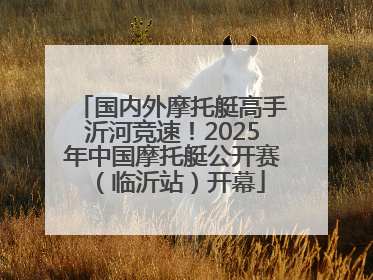 国内外摩托艇高手沂河竞速！2025年中国摩托艇公开赛（临沂站）开幕