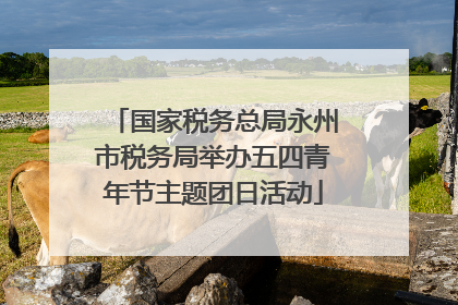 国家税务总局永州市税务局举办五四青年节主题团日活动