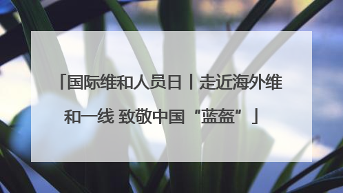 国际维和人员日丨走近海外维和一线 致敬中国“蓝盔”