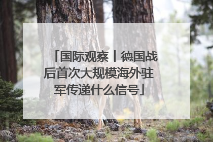 国际观察丨德国战后首次大规模海外驻军传递什么信号