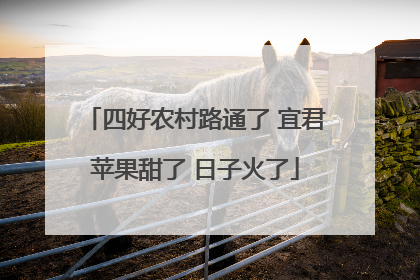 四好农村路通了 宜君苹果甜了 日子火了