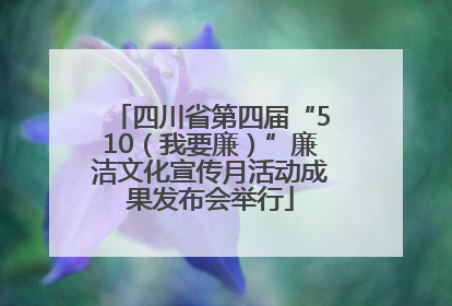 四川省第四届“510（我要廉）”廉洁文化宣传月活动成果发布会举行