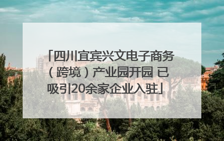 四川宜宾兴文电子商务（跨境）产业园开园 已吸引20余家企业入驻