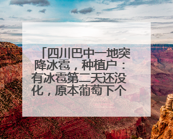 四川巴中一地突降冰雹，种植户：有冰雹第二天还没化，原本葡萄下个月上市，现在全被打落