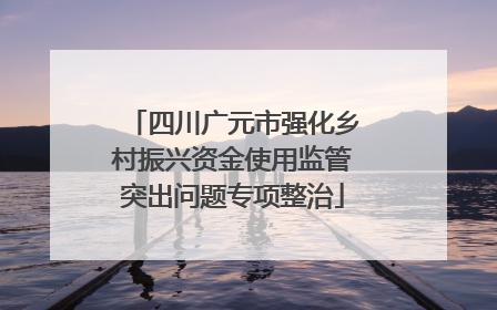 四川广元市强化乡村振兴资金使用监管突出问题专项整治