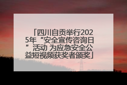 四川自贡举行2025年“安全宣传咨询日”活动 为应急安全公益短视频获奖者颁奖