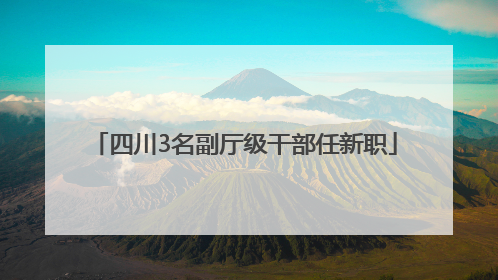 四川3名副厅级干部任新职