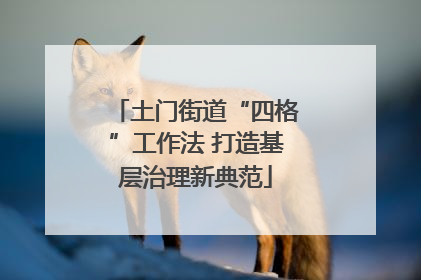 土门街道“四格”工作法 打造基层治理新典范