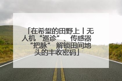 在希望的田野上丨无人机“巡诊”、传感器“把脉” 解锁田间地头的丰收密码