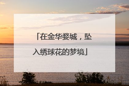 在金华婺城，坠入绣球花的梦境