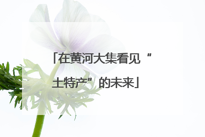 在黄河大集看见“土特产”的未来