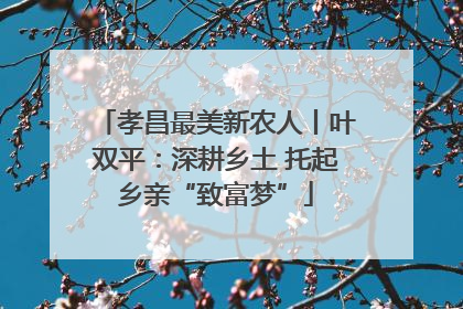 孝昌最美新农人丨叶双平：深耕乡土 托起乡亲“致富梦”