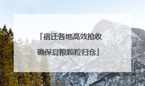 宿迁各地高效抢收 确保夏粮颗粒归仓