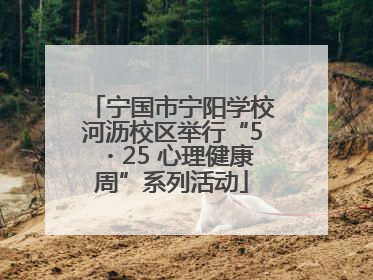 宁国市宁阳学校河沥校区举行“5・25 心理健康周”系列活动