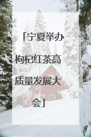 宁夏举办枸杞红茶高质量发展大会