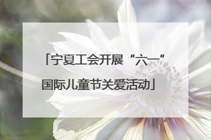 宁夏工会开展“六一”国际儿童节关爱活动