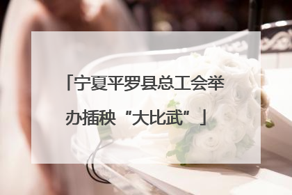 宁夏平罗县总工会举办插秧“大比武”