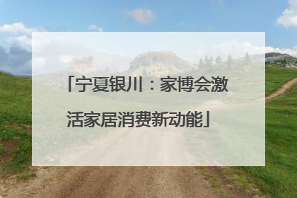 宁夏银川：家博会激活家居消费新动能