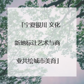 宁夏银川 文化新地标让艺术与商业共绘城市美育