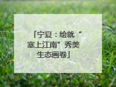 宁夏：绘就“塞上江南”秀美生态画卷