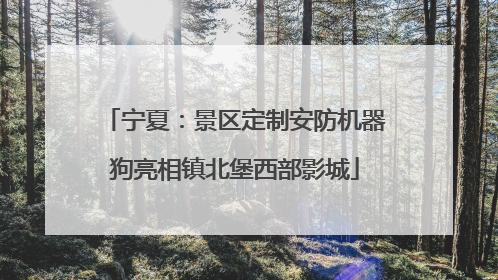 宁夏：景区定制安防机器狗亮相镇北堡西部影城