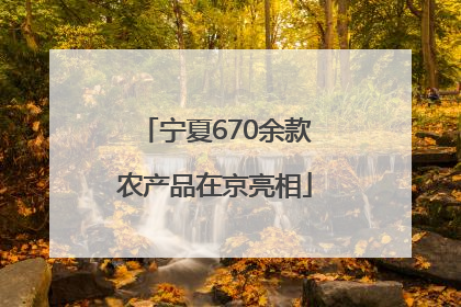 宁夏670余款农产品在京亮相