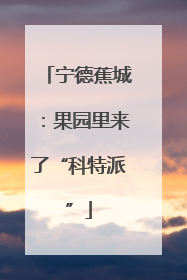 宁德蕉城：果园里来了“科特派”