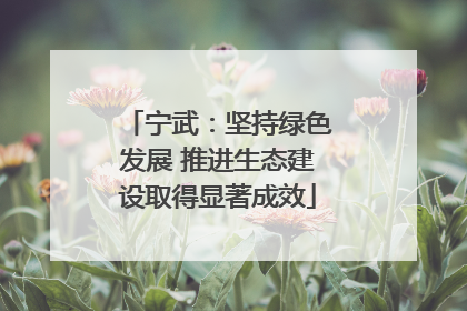 宁武：坚持绿色发展 推进生态建设取得显著成效