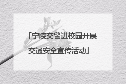 宁陵交警进校园开展交通安全宣传活动