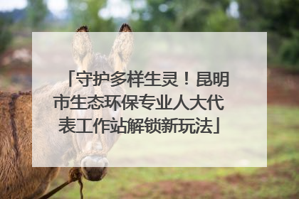 守护多样生灵！昆明市生态环保专业人大代表工作站解锁新玩法